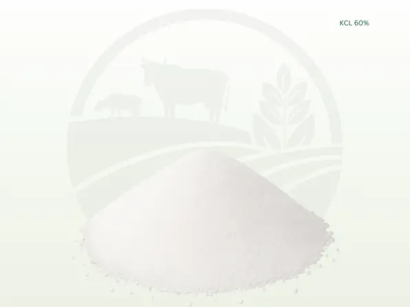 KCL 60%